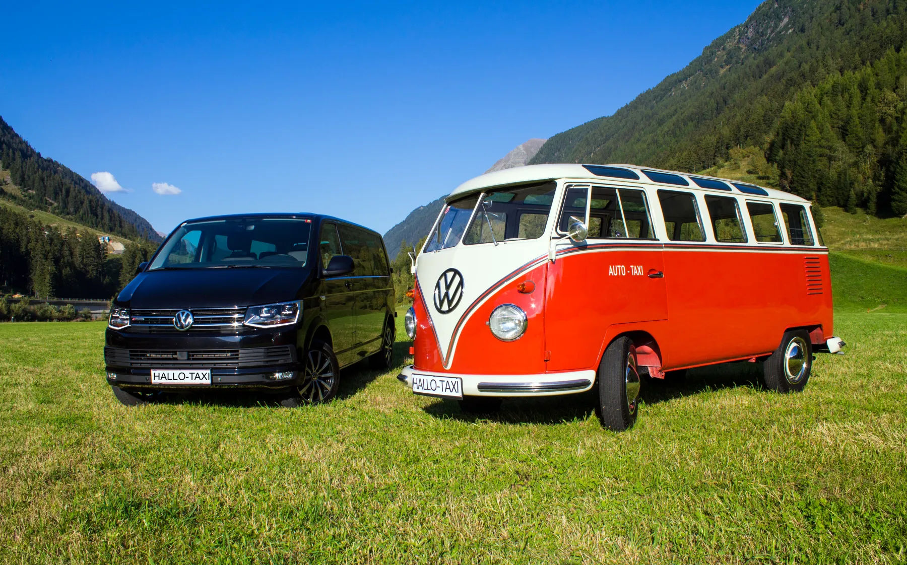Fuhrpark von Hallo Taxi: VW T6 und VW Oldtimer-Bus am Arlberg